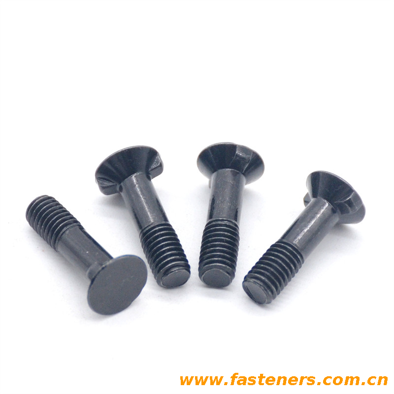 CNS4697 Countersunk Bolts With Double Nips