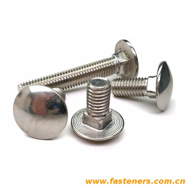 CNS4424 Cup Square Bolts