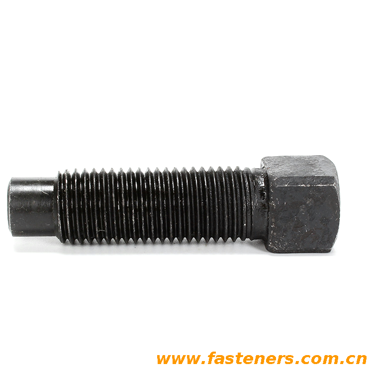 DIN479 Square Head Bolts With Short Dog Point
