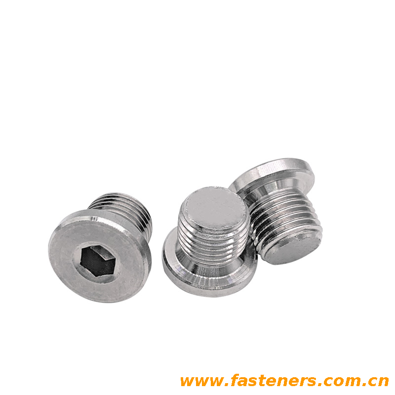 DIN908 Internal Drive Screw Plugs with Collar - Cylindrical Thread